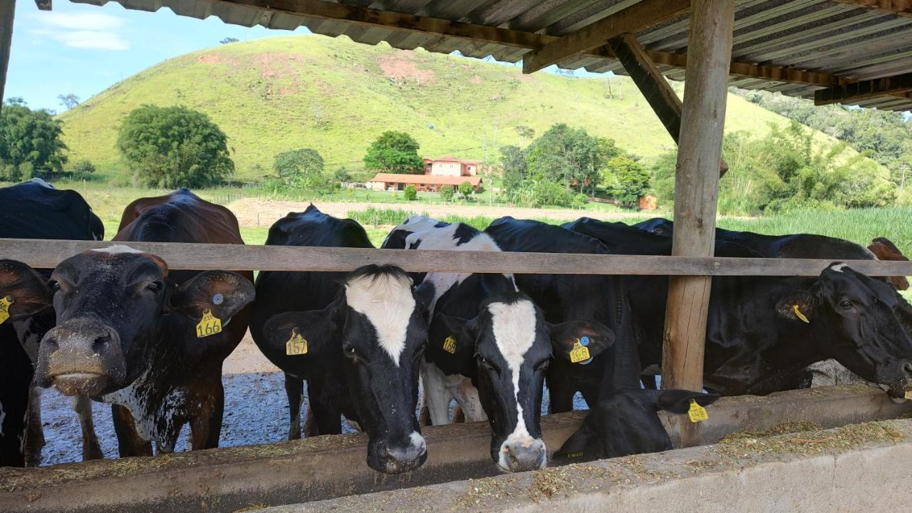 Pousada Campestre Cunha-Sp Exterior foto