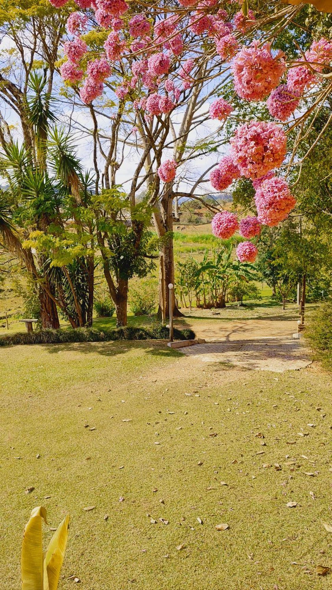 Pousada Campestre Cunha-Sp Exterior foto